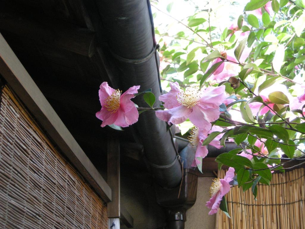 Guesthouse Itoya קיוטו מראה חיצוני תמונה